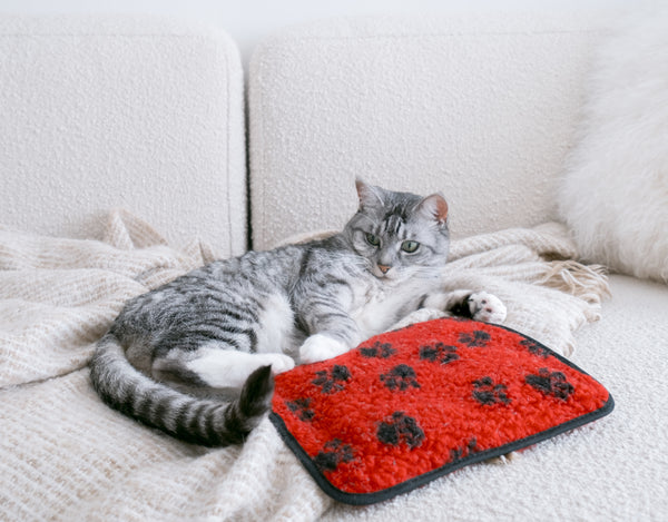 Red Paw Print Hottie